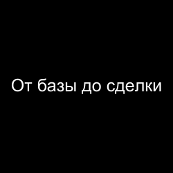 От базы до сделки: как выстроить B2B-продажи через данные, а не через количество звонков